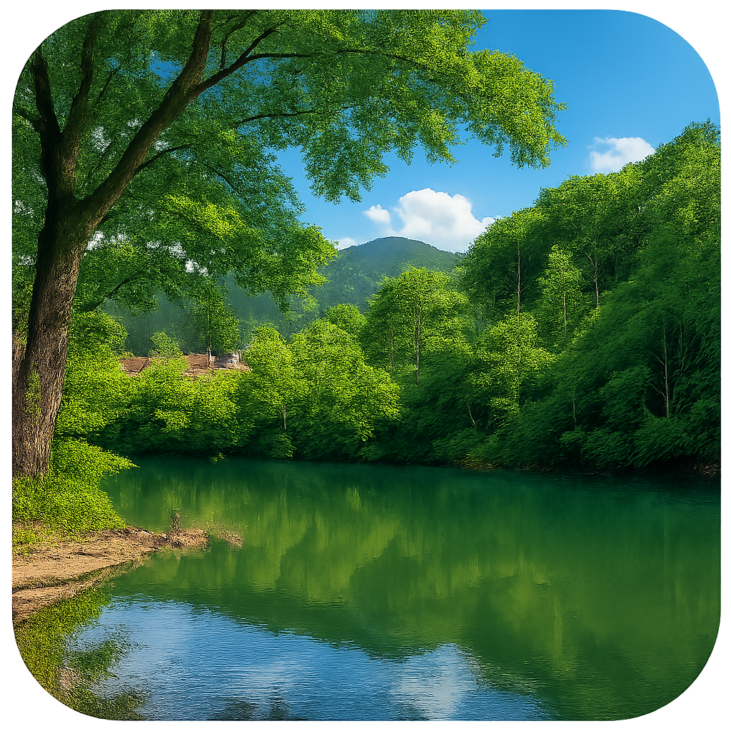 ドッコ沼 Dokko Swamp 山形県