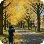 北海道大学 Hokkaido University