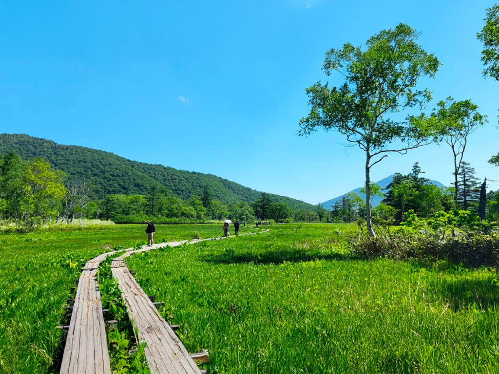 尾瀬ヶ原 OZEGA HARA 群馬県 福島県