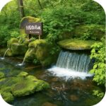 旭岳源水公園 Asahidake Water Source Park