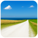 白い道 White Road