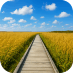 サロベツ原野 Sarobetsu Plain