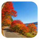 留守が岩浜（富士河口湖町） Rusugaiwa hama