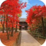 平林寺 Heirinji Temple