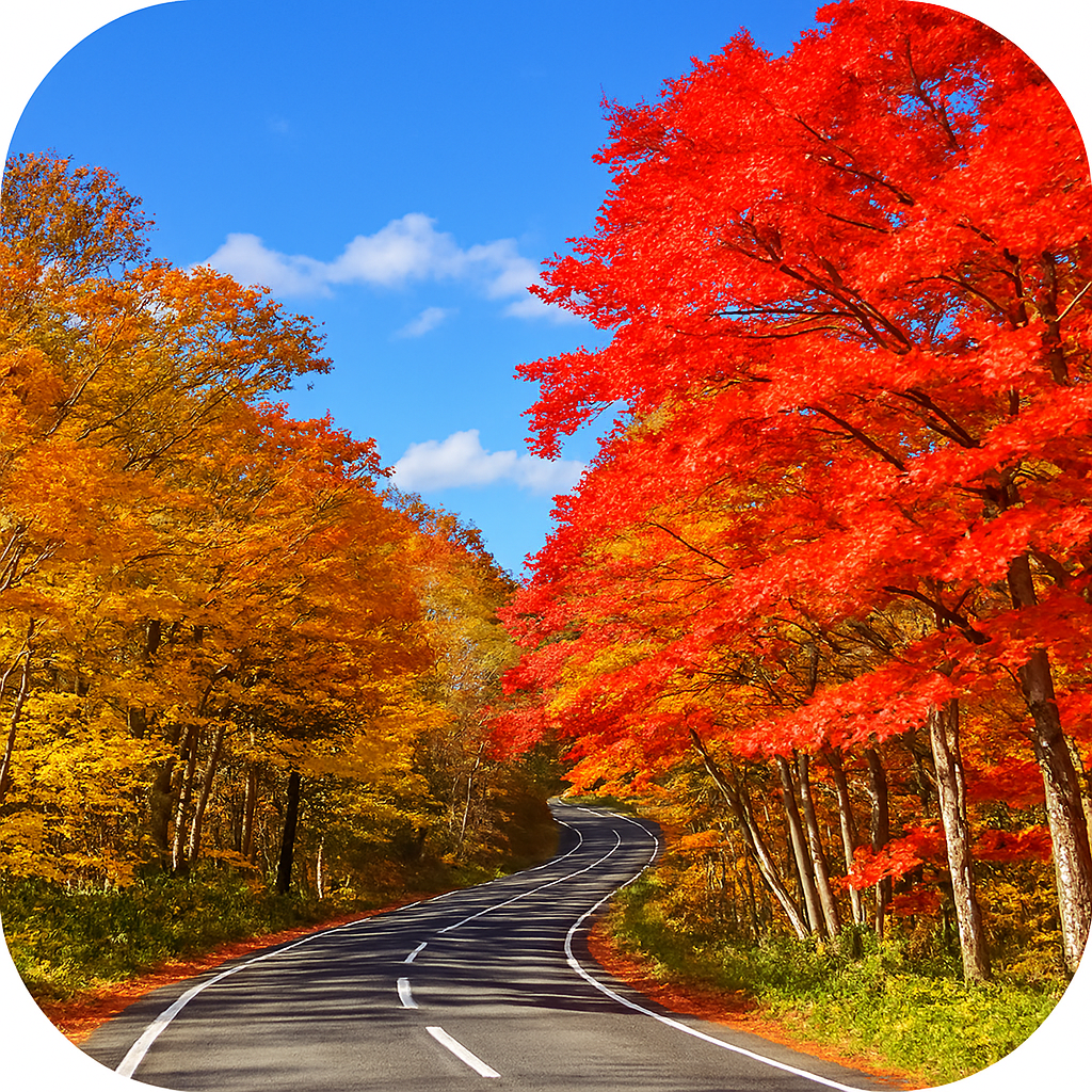 日塩もみじライン Niseo Momiji Line 栃木県