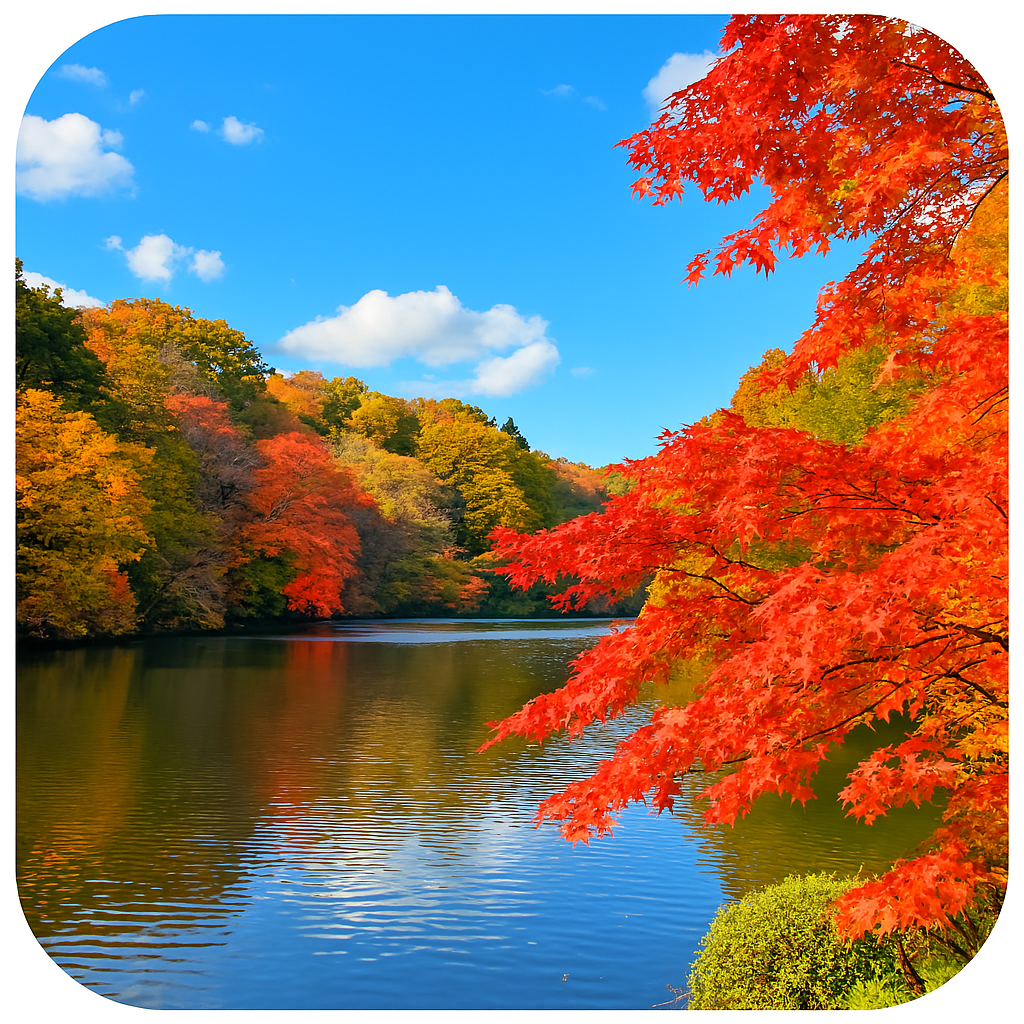 亀山湖 Lake Kameyama 千葉県