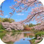 県立三ツ池公園 Prefectural Mitsuike Park