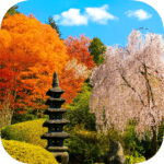 福島市花見山公園 Fukushima City Hanamiyama Park