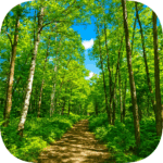 野幌森林公園 Nopporo Forest Park