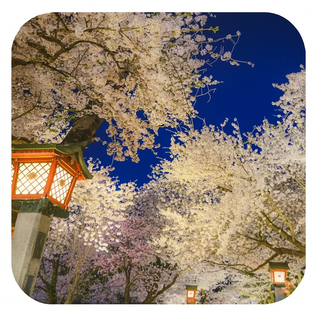 弥彦公園 Yahiko Park 新潟県