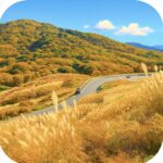 ビーナスライン Venus Line