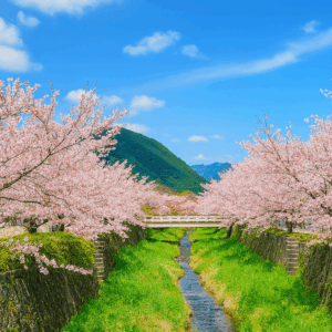 一の坂川 Ichinosaka River 山口県