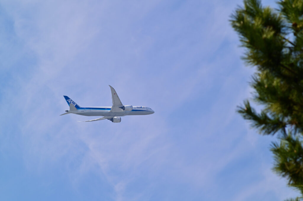 ANA 城南島海浜公園 Jonanjima Seaside Park 東京大田区 Tokyo Otaku