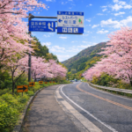 桜三里 Sakura Sanri