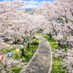 滝の宮公園 Takinomiya Park