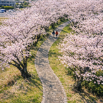 鮎乃瀬公園 Ayunose Park