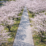 鏡野公園 Kagamino Park