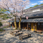 牧野公園 Makino Park