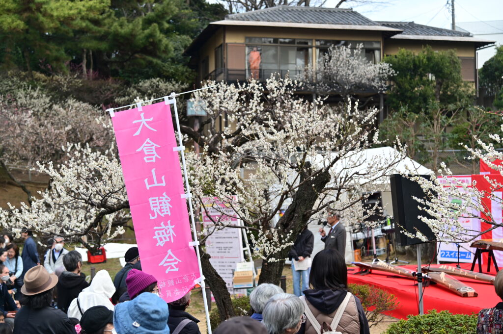 大岡山公園 梅林 観梅会 Ōokayama Park Plum Blossom Festival 横浜市 Yokohama-shi