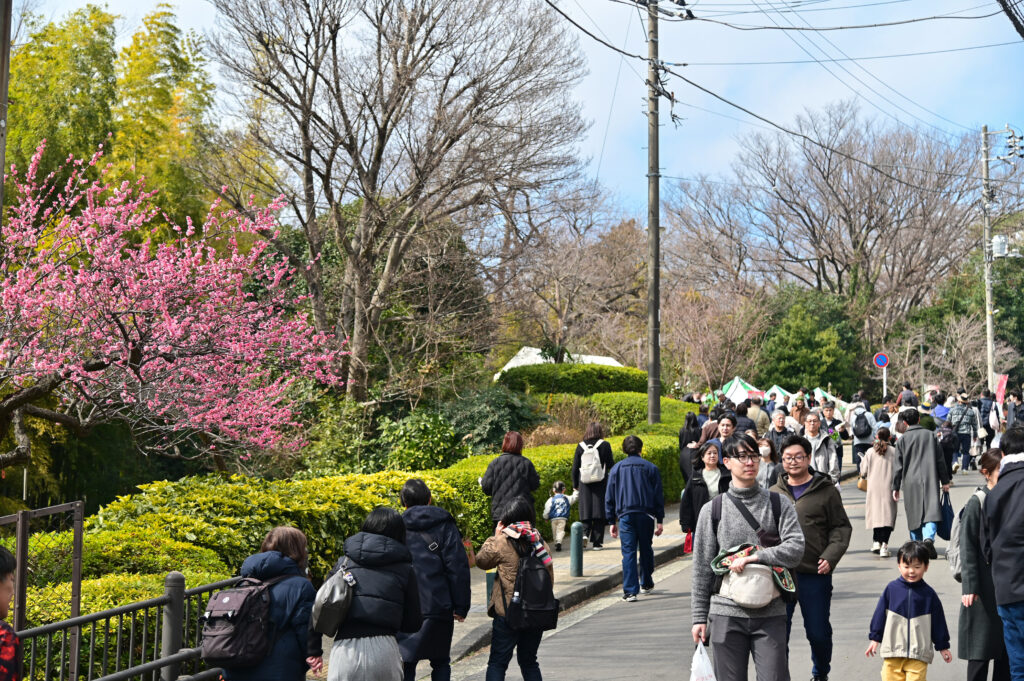 大倉山駅 東急東横線 Okurayama Station Tokyu Line 横浜市 Yokohama-shi