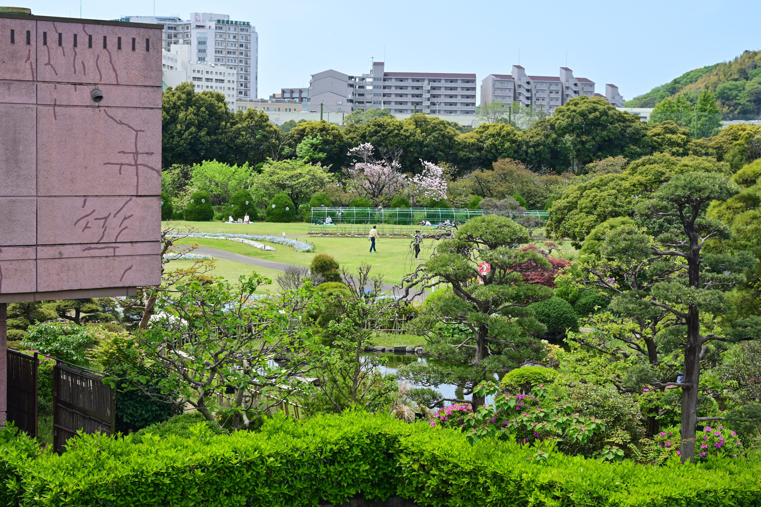 大船フラワーセンター Ofuna Flower Center 神奈川県 Kanagawa-ken