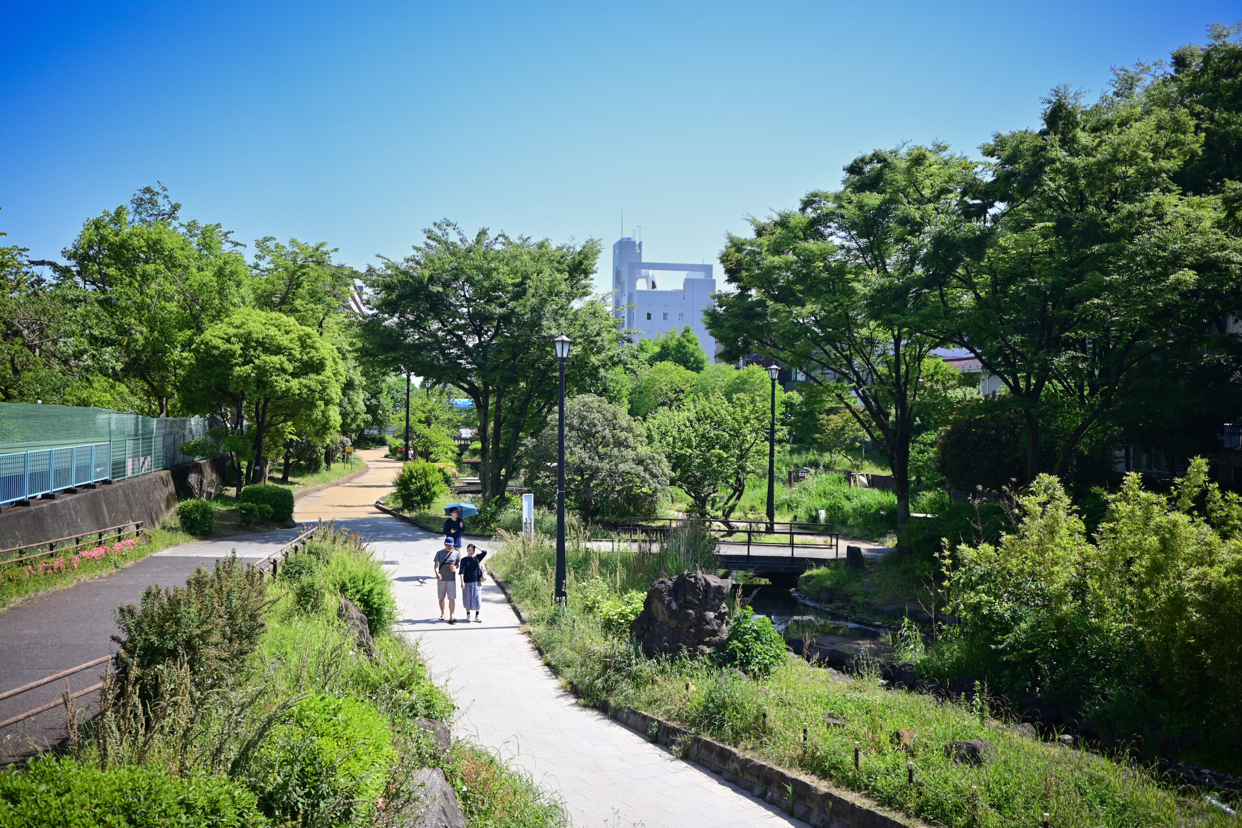 大横川親水公園 Oyokogawa Water Park 東京 Tokyo