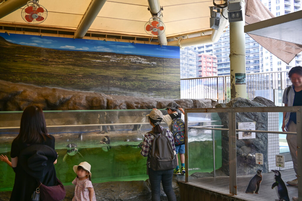 しながわ水族館 Shinagawa Aquarium 東京都品川 Tokyo Shinagawa