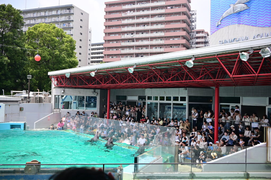 イルカショー Dolphin show しながわ水族館 Shinagawa Aquarium
