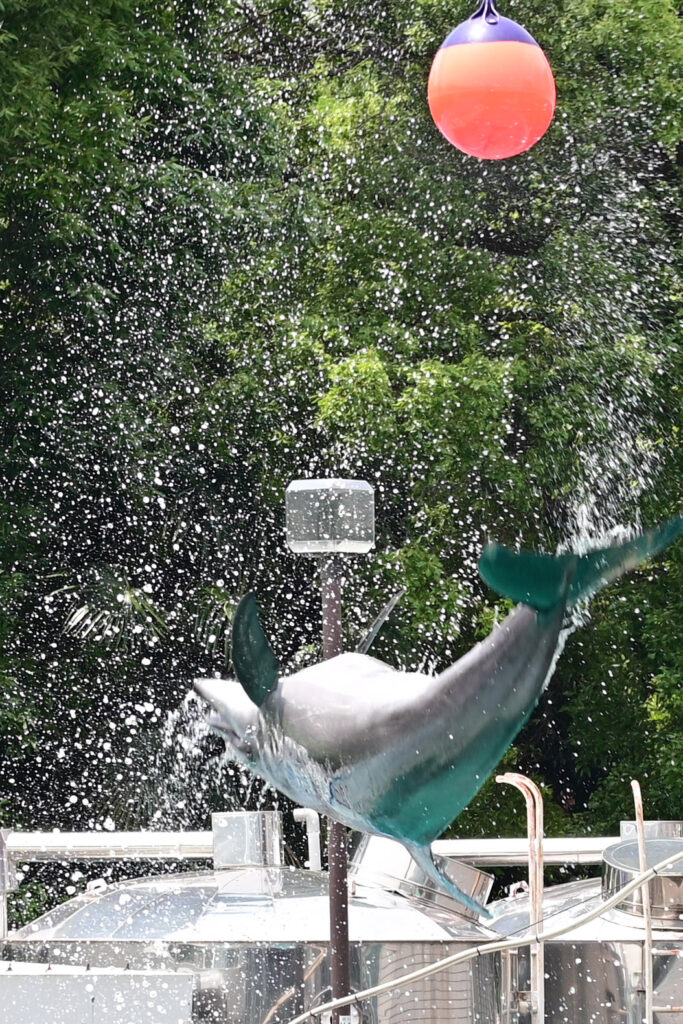 イルカショー Dolphin show しながわ水族館 Shinagawa Aquarium