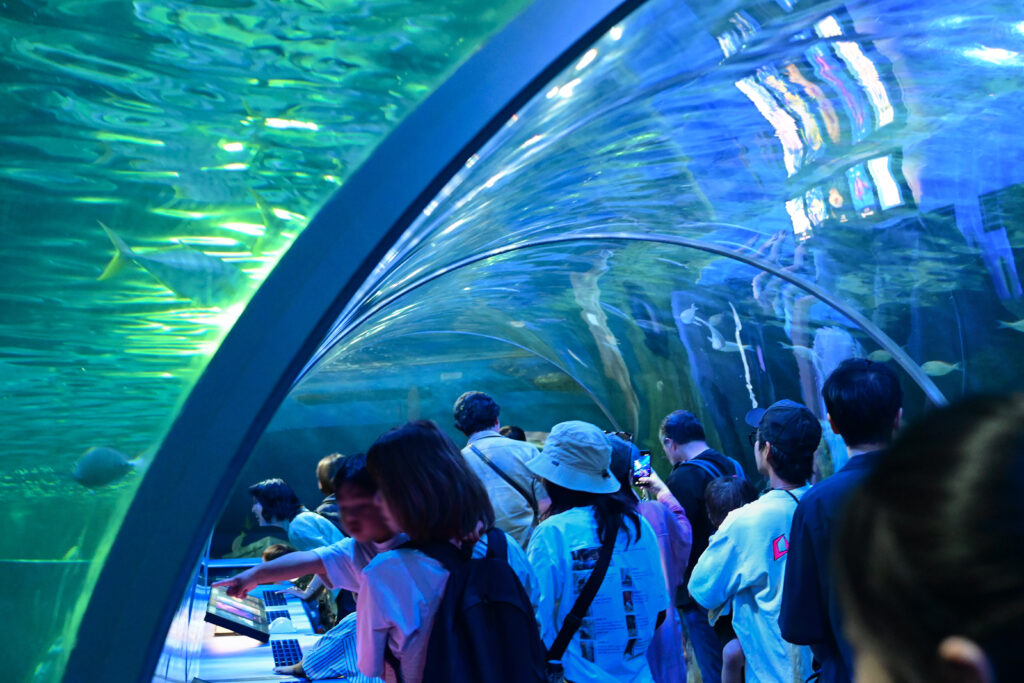 水中トンネル Underwater tunnel しながわ水族館 Shinagawa Aquarium