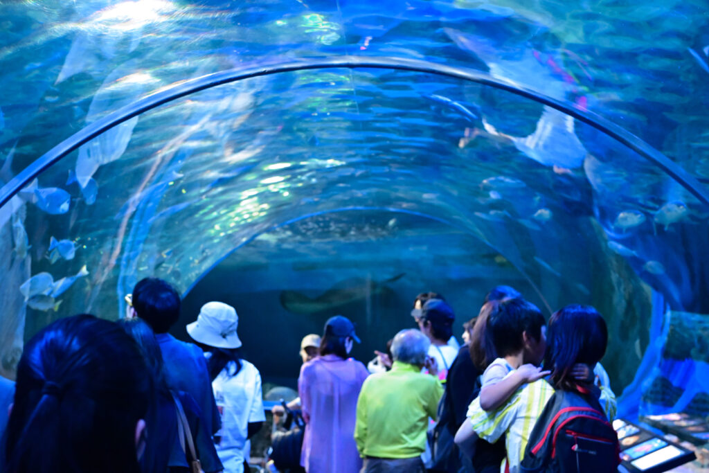 水中トンネル Underwater tunnel しながわ水族館 Shinagawa Aquarium