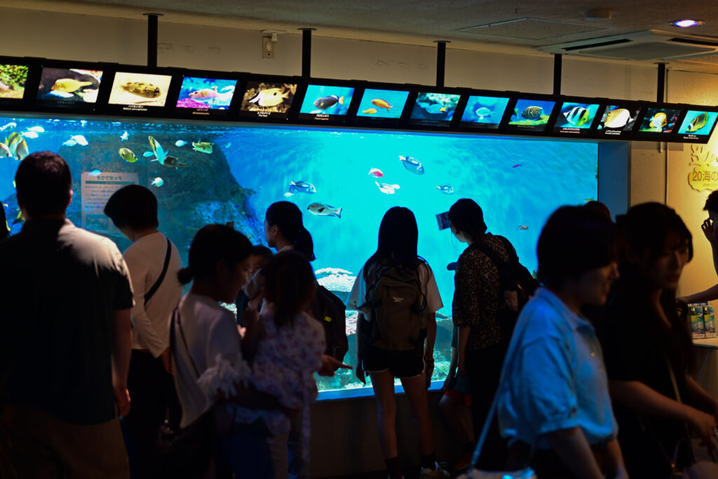 南国の水槽 Tropical aquarium しながわ水族館 Shinagawa Aquarium