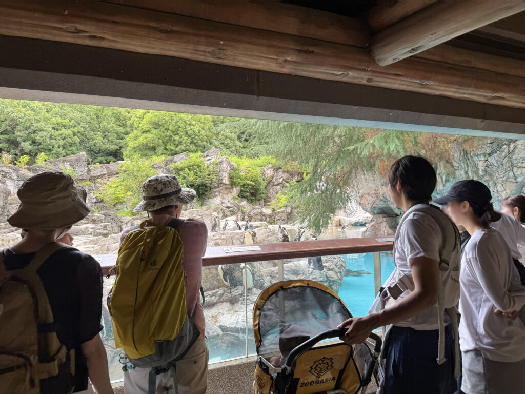 ペンギン penguin ズーラシア Zoorasia 横浜動物園 Yokohama zoo