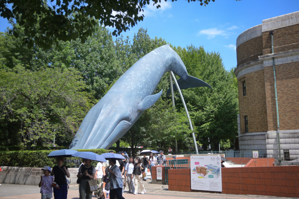 シロナガスクジラ30mモニュメント Blue whale 30m monument 上野 Ueno