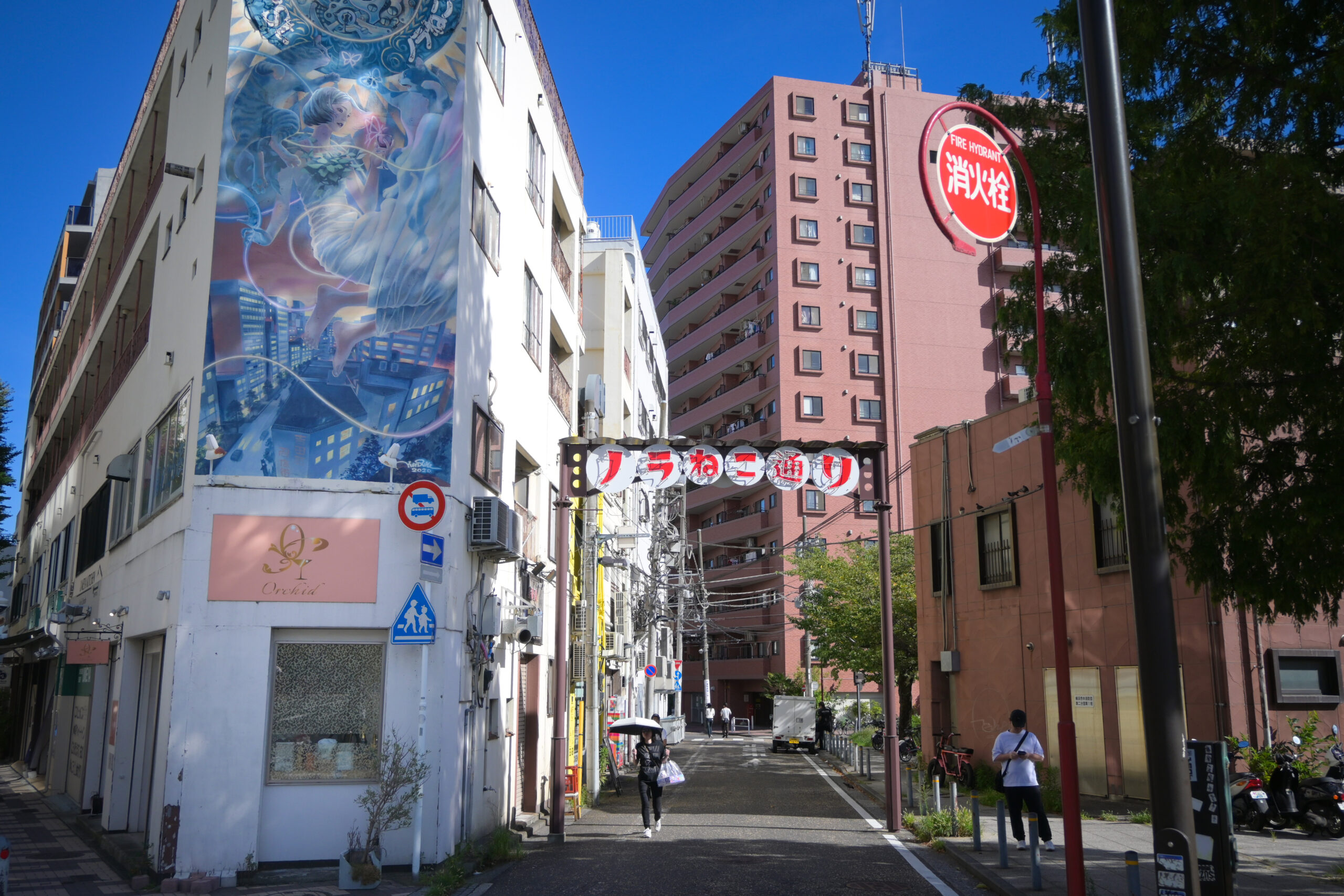 ノラねこ通り Noraneko Stray Cat Street