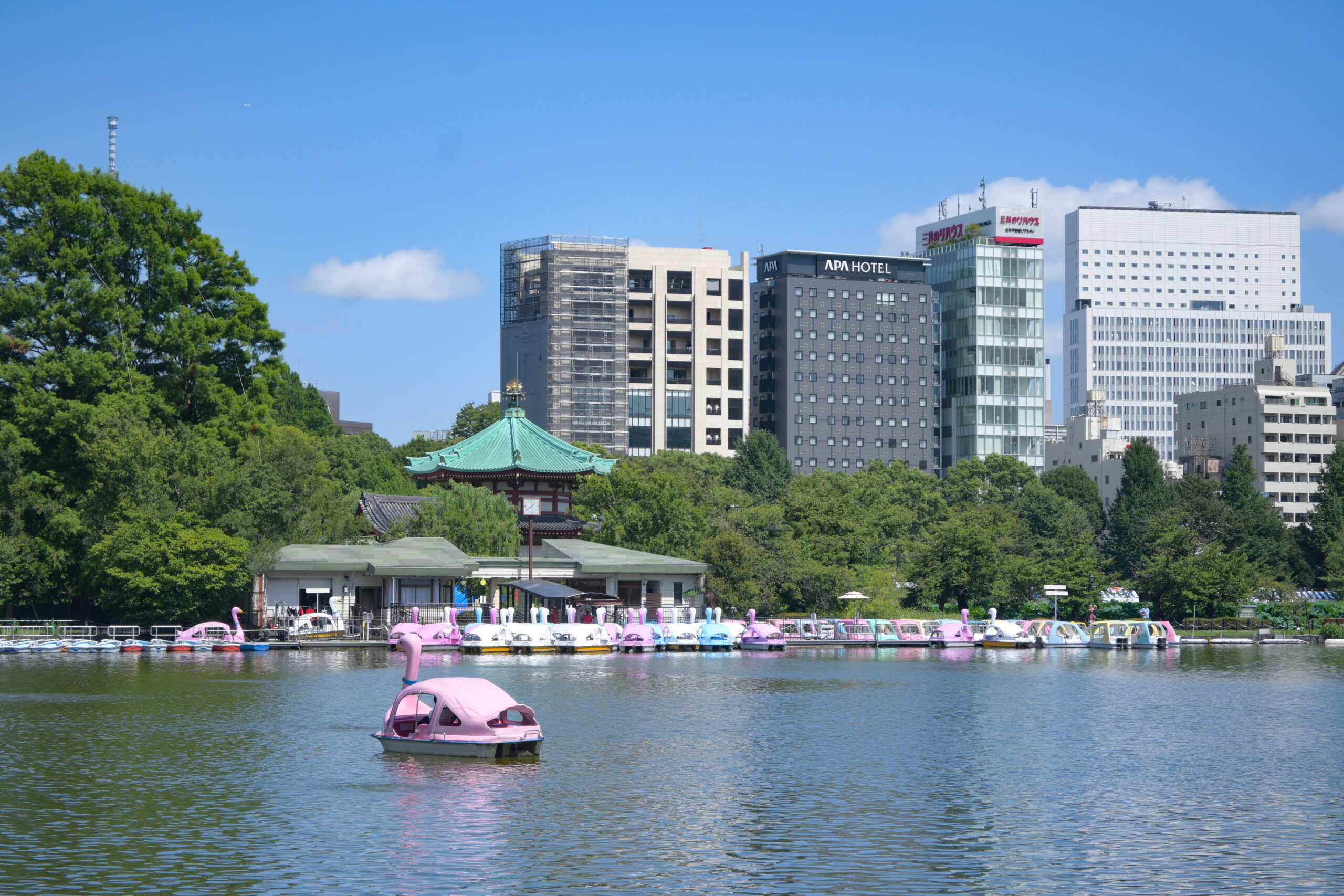 不忍池の白鳥ボート池 Swan Boat Pond at Shinobazu Pond