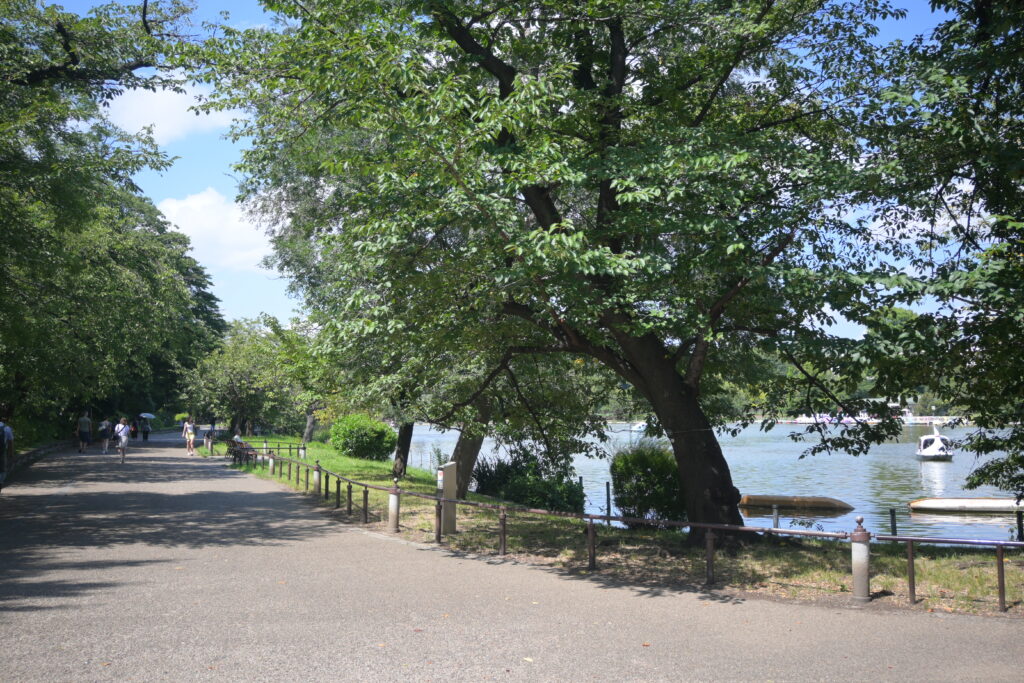 不忍池の西側 散策道 Walking path on the west side of Shinobazu Pond