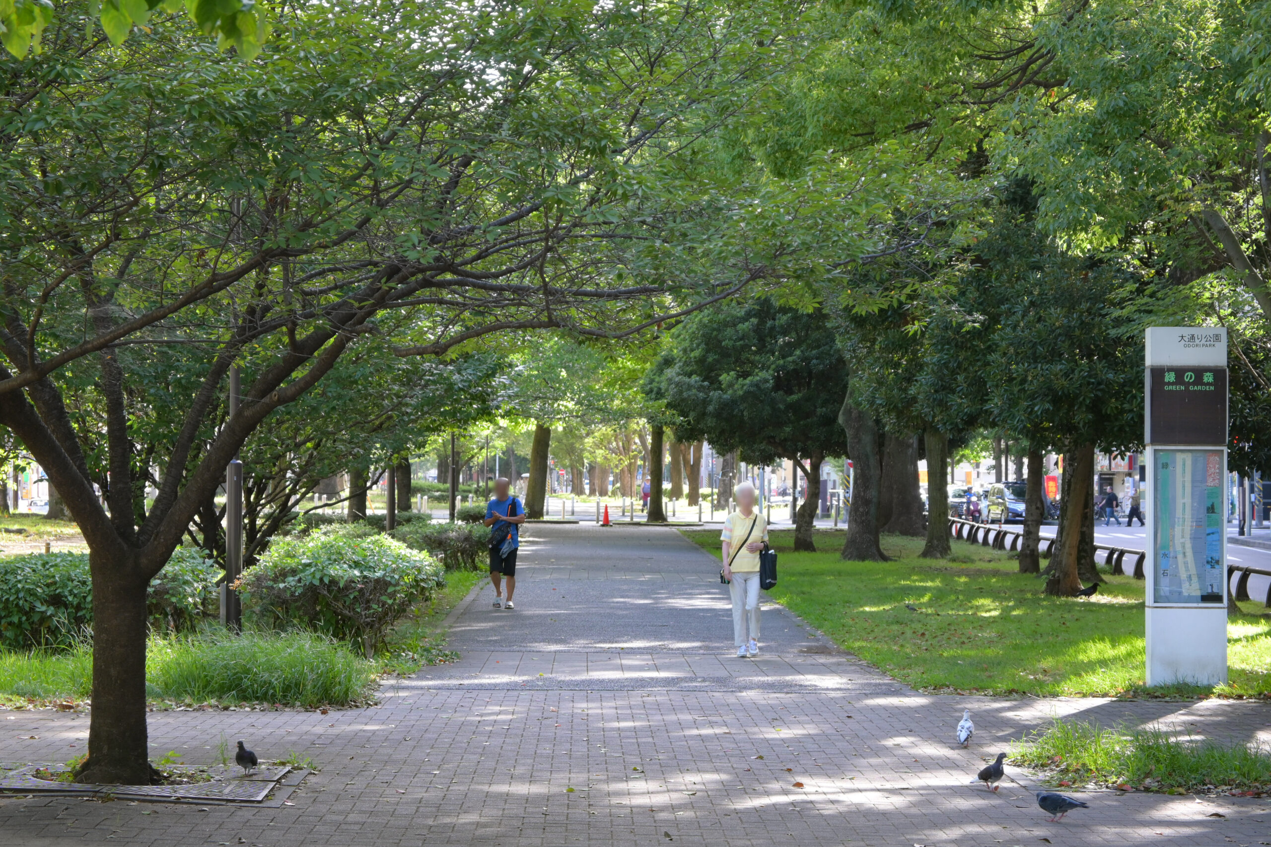 関内大通り公園 Kannai Odori Park