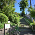 紅葉ヶ丘 掃部山公園 Momijigaoka Kamonyama Park