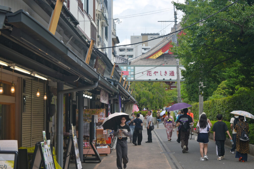 花やしき通り Hanayashiki-dori
