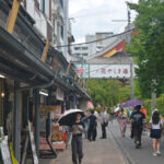 花やしき通り Hanayashiki Street