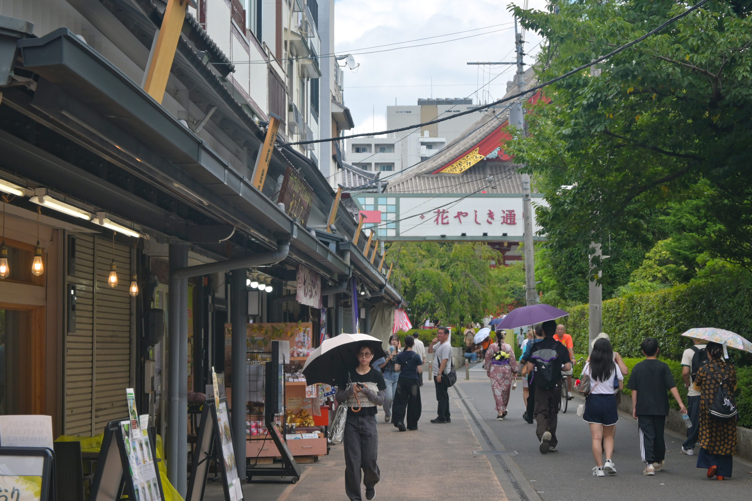 花やしき通り Hanayashiki-dori