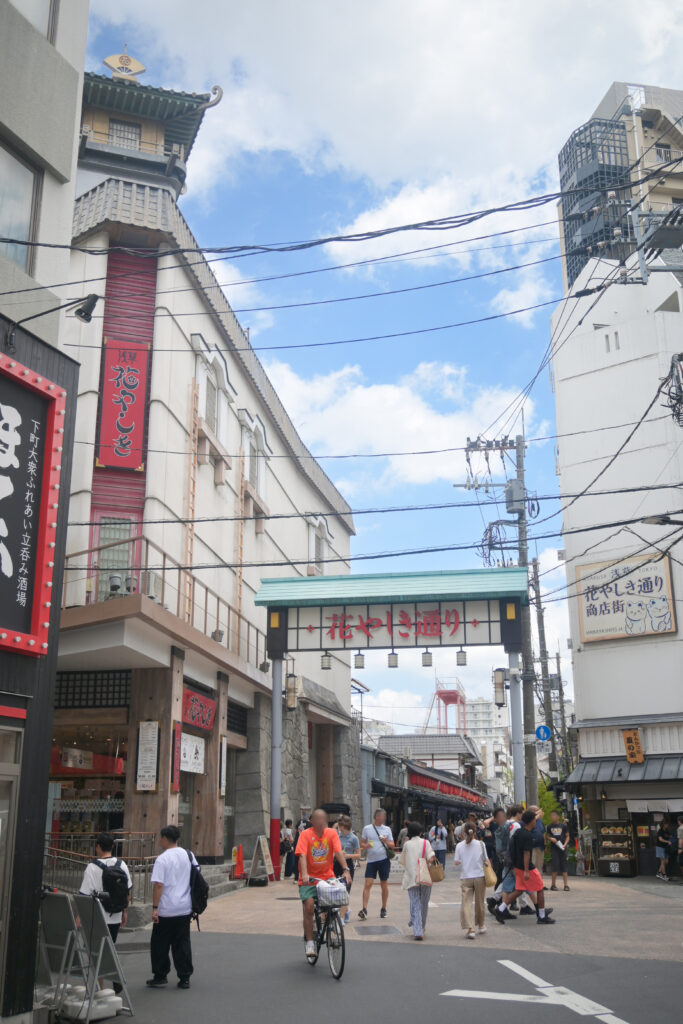 花やしき通り Hanayashiki-dori
